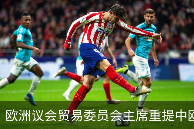 欧洲议会贸易委员会主席重提中欧贸易协定：我们需要一份更全面协议，有必要重温一下