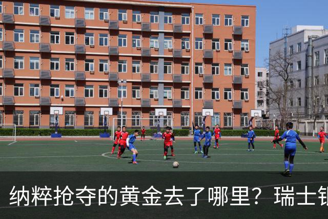 纳粹抢夺的黄金去了哪里？瑞士银行数百匿名账户为何令人怀疑！