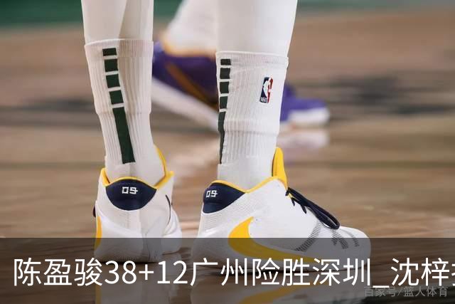陈盈骏38+12广州险胜深圳 沈梓捷19分周鹏11分